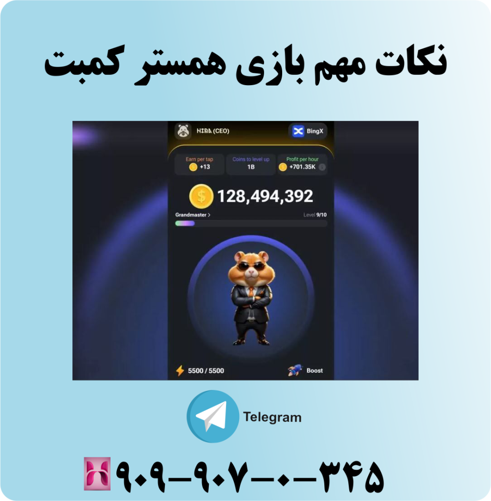 نکات مهم بازی همستر کمبت