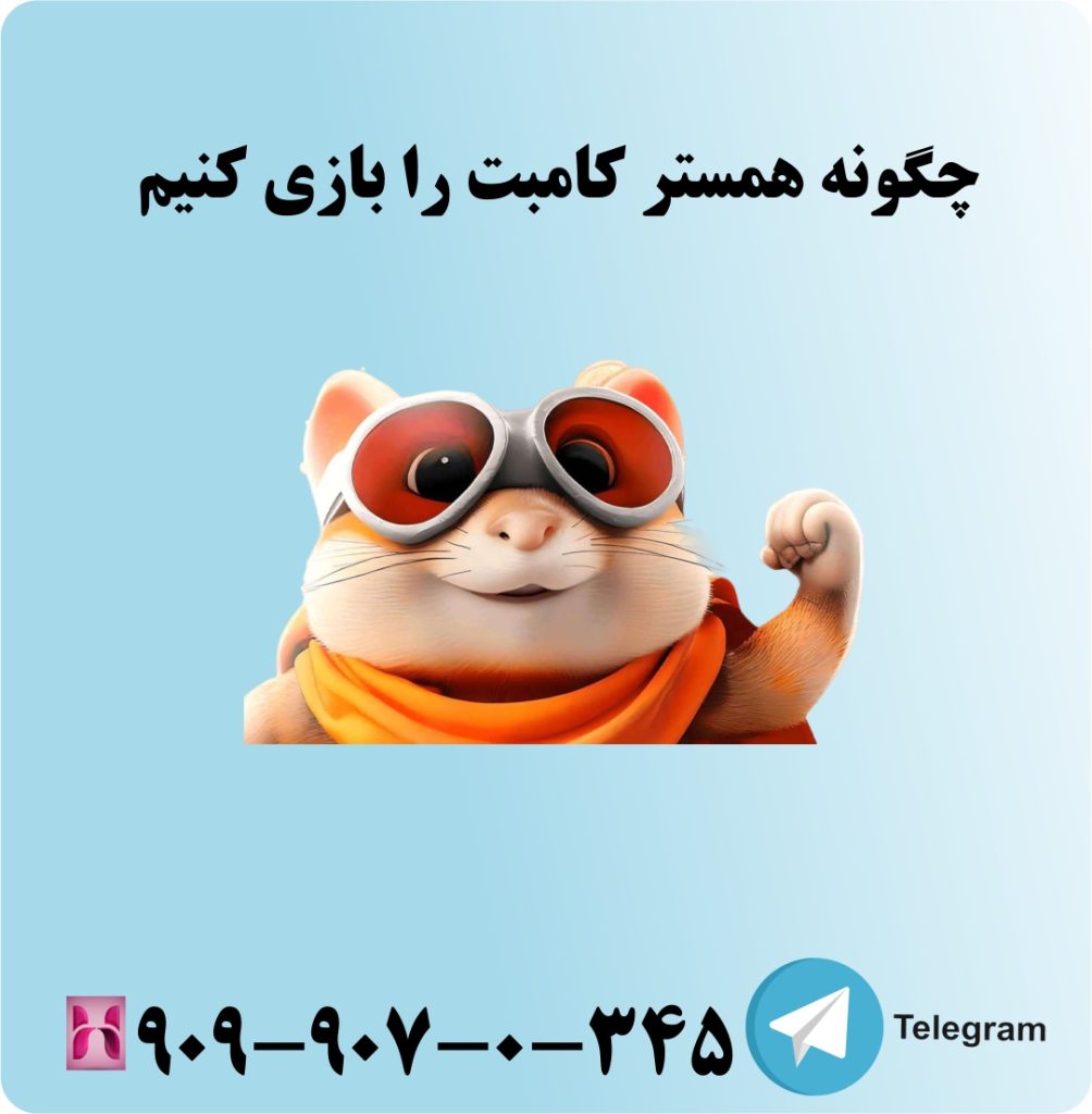 چگونه همسترکامبت را بازی کنیم