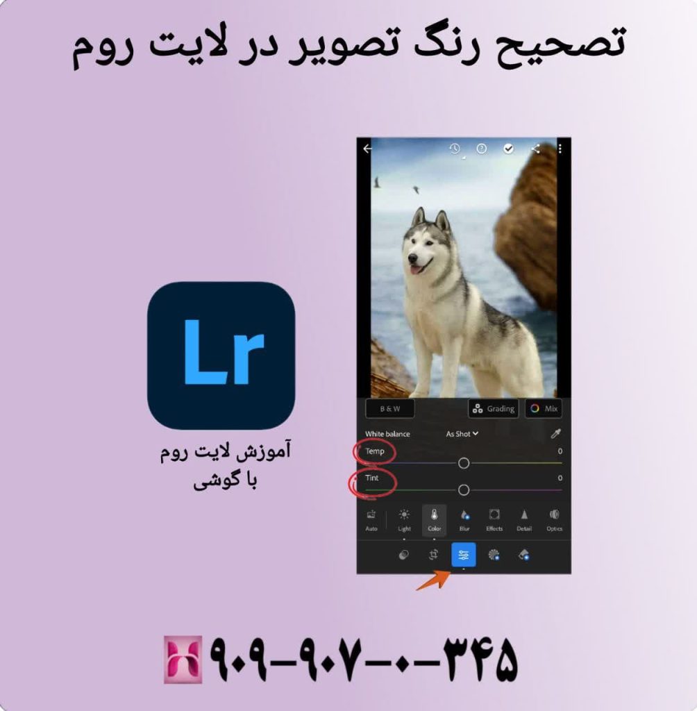 تصحیح رنگ تصویر در لایت روم