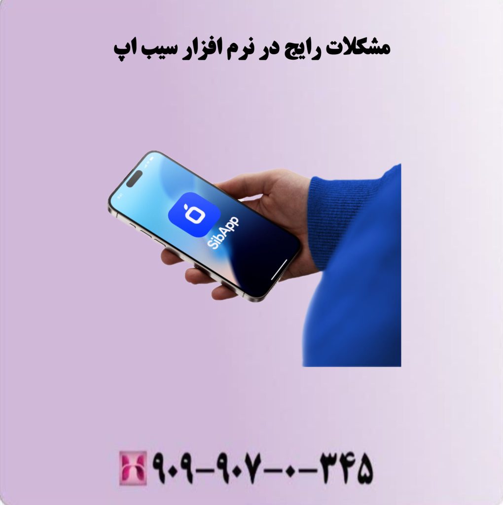 مشکلات رایج در نرم افزار سیب اپ