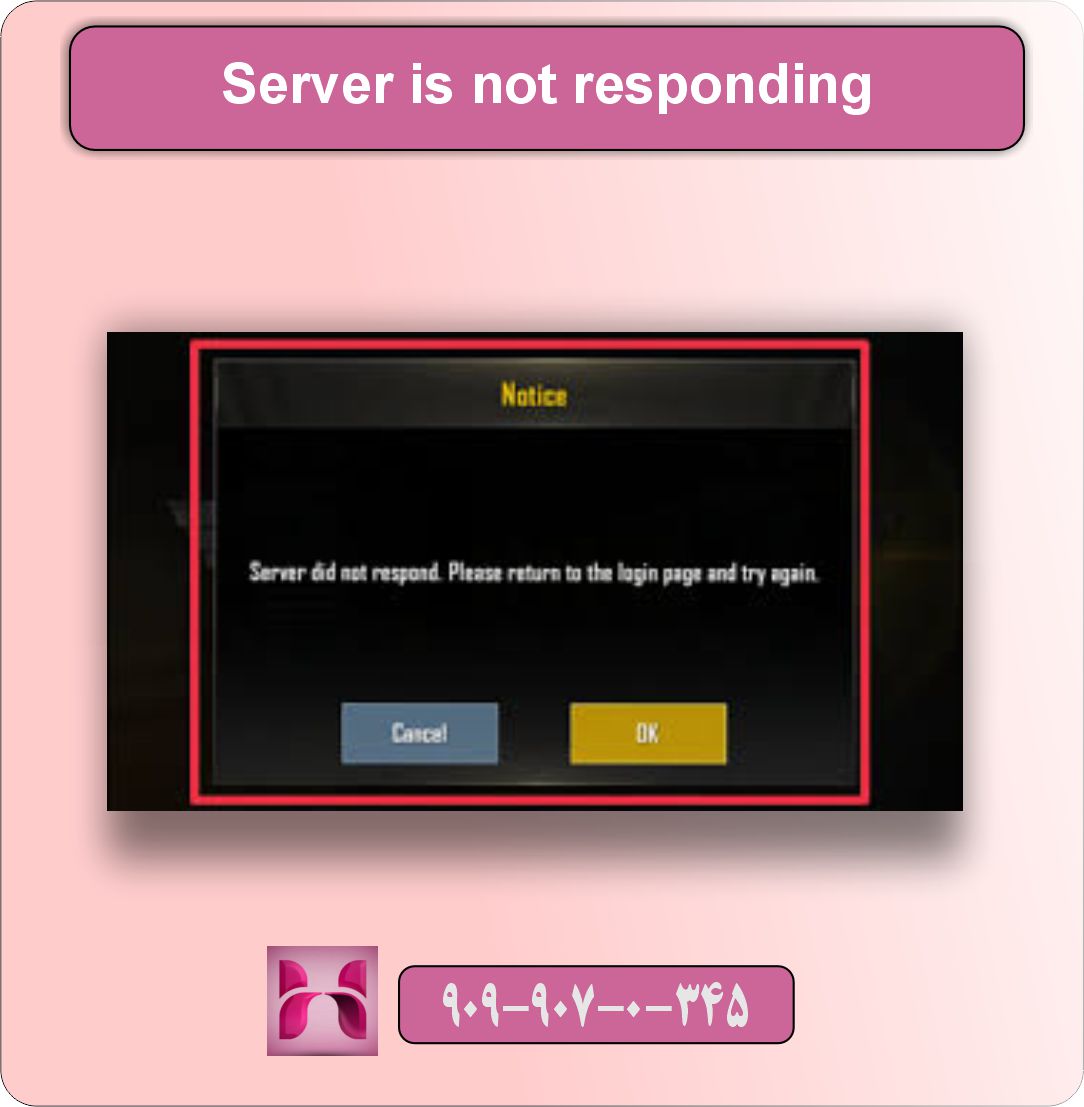 مشکل دی ان اس پابجی