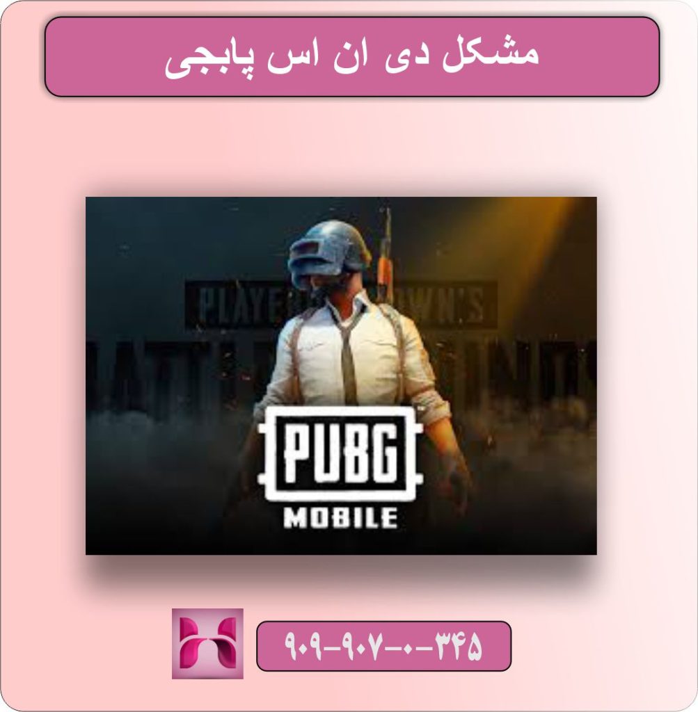 مشکل دی ان اس پابجی